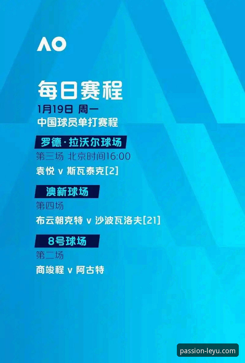 世界杯巨星vs乐鱼体育观赛体验：谁才是真正的传奇？