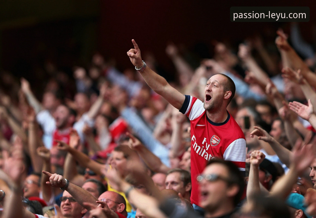 资深体育迷的深度观察：从“金元足球”的兴衰看商业与竞技的边界